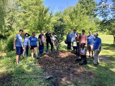 volunteers planting a tree in Edgewood Park