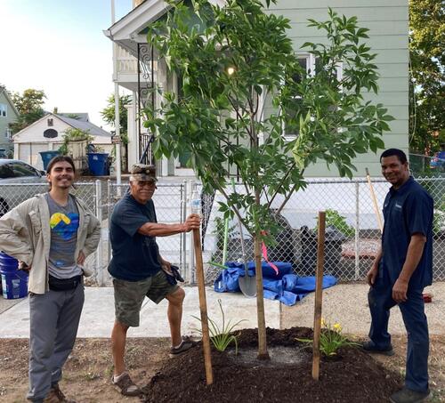three tree planters standing in front of a new tree in Fair Haven