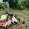 One of the kids and previous intern Mitch planting a Spiderwort plant