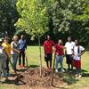 Group planting a tree at Edgewood Park