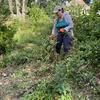 A volunteer removes invasive plants at Fairmont Park