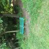 Green bench in a park