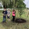 Volunteers with new tree planted