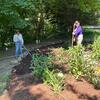 Clara and Sandy, mulching around the coral bells we just planted!