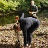Removing invasives along the West River