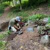 Tim planting coral bells by memorial garden!