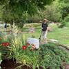 Pat working at the corner garden bed - classic!