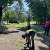 Weeding and cleaning the bocce court!