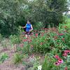 Rebecca weeding withing the depths of our pondside garden!