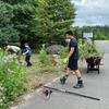Clearing out the wildflower garden!