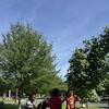 Kymani, Luis, Terell, and Freddie moving the red maple!