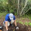 Tim plantng butterfly weed!