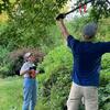 Tim and Judy pruning by memorial garden! 