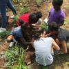 Children planting plants