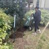 A volunteer dumps mulch on the flowerbed at Washington Ave