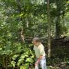 Dave cutting back Japanese knotweed!