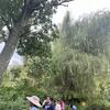 Weeding along the path!