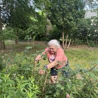 Group leader Cindy cutting down overgrowth in the center of the Arch Street lot