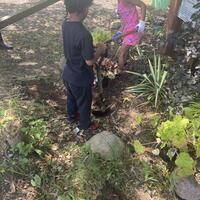 Two of the kids work on digging holes to plant new flowers