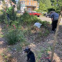 Two volunteers pulling out invasive plants at the edge of Fairmont Park