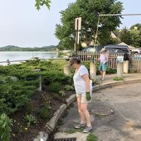 Volunteer looking at garden bed