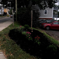 New garden bed