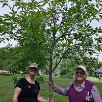 Susan and Kate with a tree at Beecher Park.