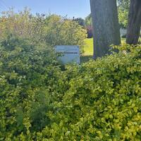 Image of Triangle Park