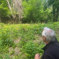 Sam looking at potential site for Pine grove