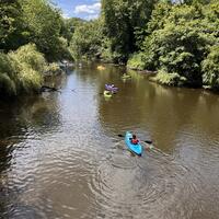 kayakers in Mill River