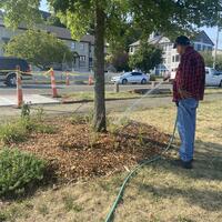 A volunteer watering the pollinator garden with a hose