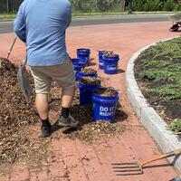 Volunteers spreading mulch at the Sea Street Circle