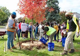 Will Tisdale watering a new tree surrounded by BRAMS students