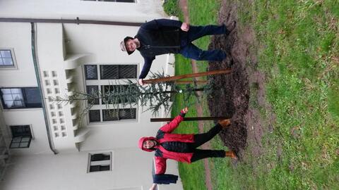 honorees near their tree