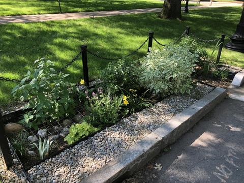 bioswale