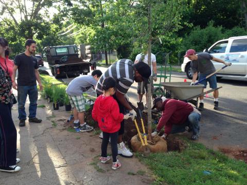 Newhall and Division Greenspace group tree planting in 2016